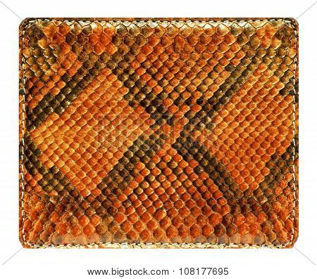 Blank snake leather label isolated on white background