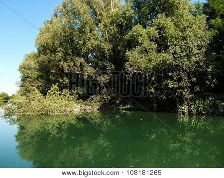 Wild Brenta River