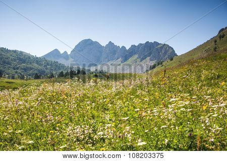 Mountain landscape