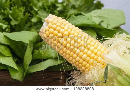 Corn On A Background Of Green Salad Close-up