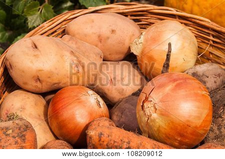 Onions, Potatoes, Carrots, Buriak Lying In A Basket