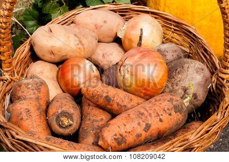 Onions, Potatoes, Carrots, Buriak Lying In A Basket