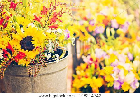 Summer Flowers