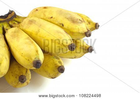 Cultivate Banana Isolate White Background