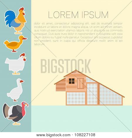 Henhouse flat banner