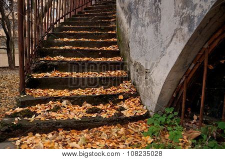 Autumn Ladder