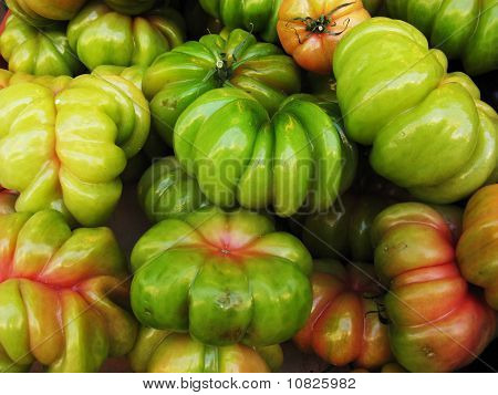 Pomodori verdi