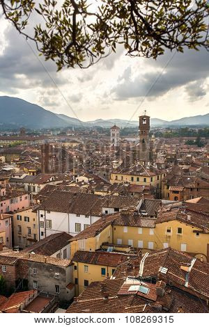 Panorama of Lucca from the Torre Guinigi, Italy
