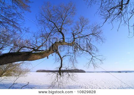 Søen i vinter