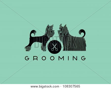 Pet Grooming 6