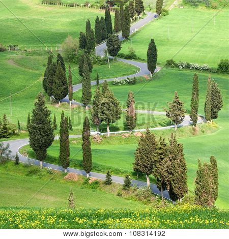 Beautiful landscape in Tuscany with sinuous road and yellow bus