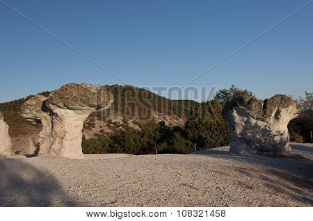 Bulgaria. Stone Mushrooms