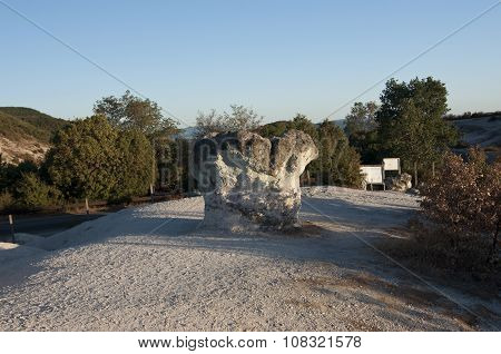 Bulgaria. Stone Mushrooms