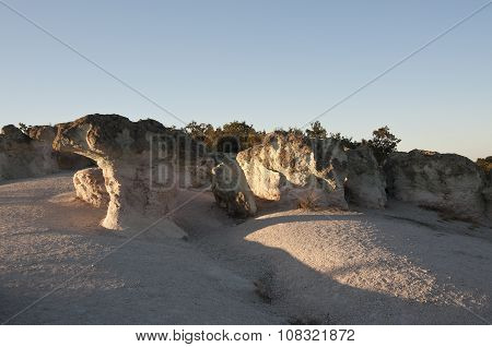 Bulgaria. Stone Mushrooms