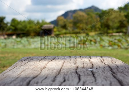 Cement Bench In Wood Like Surface With Blur Garden Background