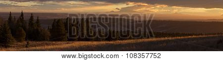 Cypress Hills Sunset