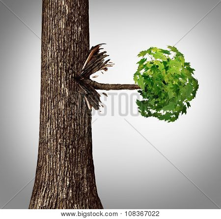 Offshoot Concept