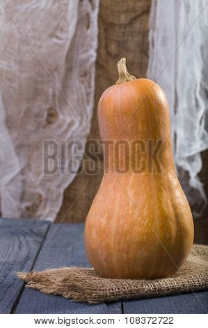 One Big Whole Orange Gourd