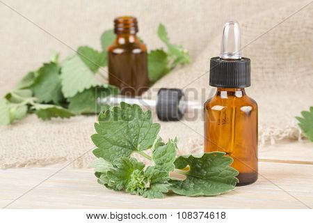 Melissa Essential Oil