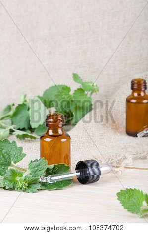 Melissa Essential Oil
