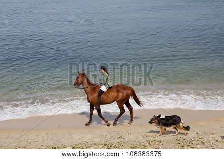 BAIONA, GALICIA, SPAIN - AUGUST 26: young woman riding a horse with her dogs at the beach, on August 26, 2015 in Baiona, Galicia, Spain