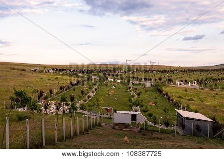 View Of An Graveyard Or Cemetery For Pets