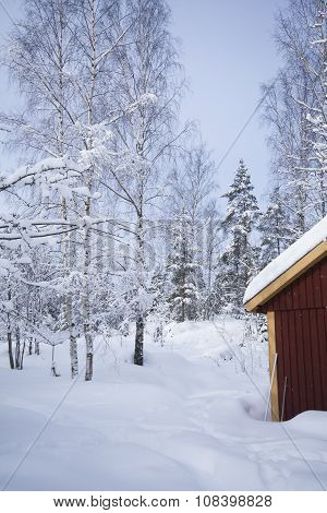 wintertime