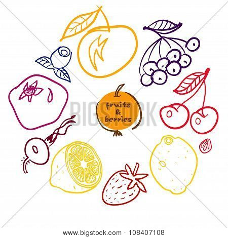 Set of hand drawn fruits and berries