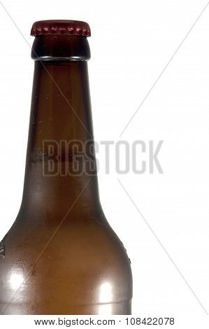 Beer bottle on white background