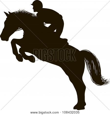 Rider on the  horse