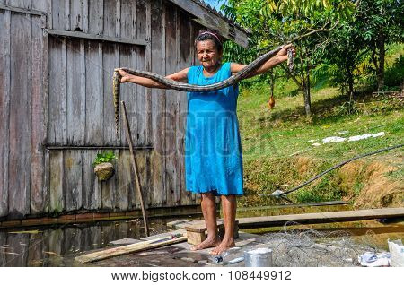 Local Woman With An Anaconda In The Amazon Rainforest, Manaos, Brazil