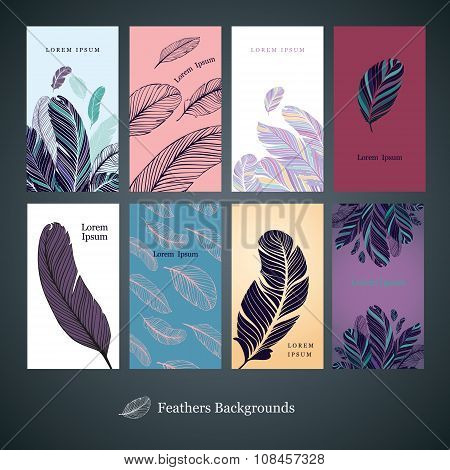Set of backgrounds with feathers