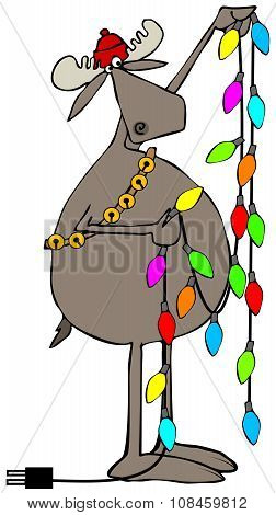 Moose handling Christmas lights