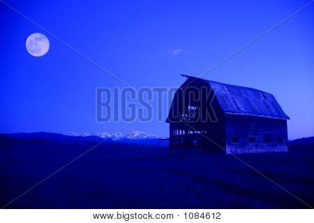 Under The Blue Moon
