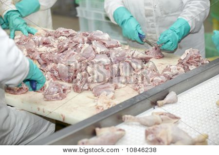 Poultry Processing Image & Photo (Free Trial) | Bigstock