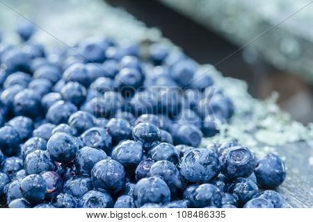 A Handful Of Blueberries Scattered On The Old Board And Covered With Water Droplets