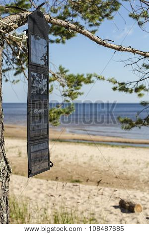 Portable Foldable Solar Panel Battery Hanging On The Outdoors On A Pine Tree