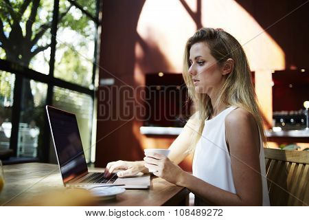 Charming Sweden woman holding cup of coffee while concentrated reading text on net-book
