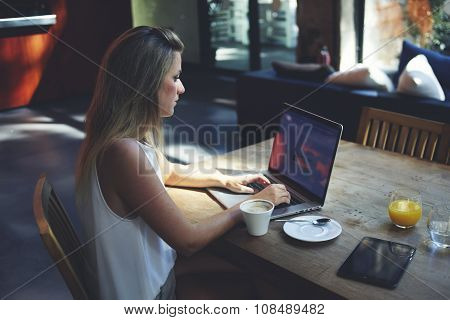 Portrait of intelligent female sitting front laptop computer with copy space screen