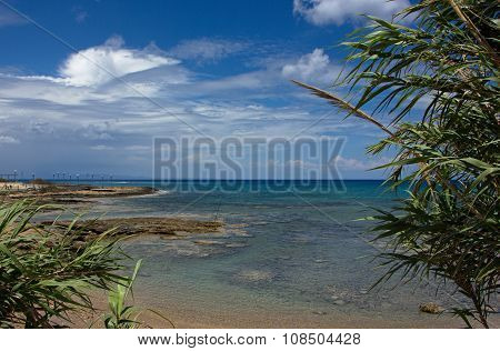 coastline and sea view