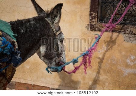 Waiting Sad Donk