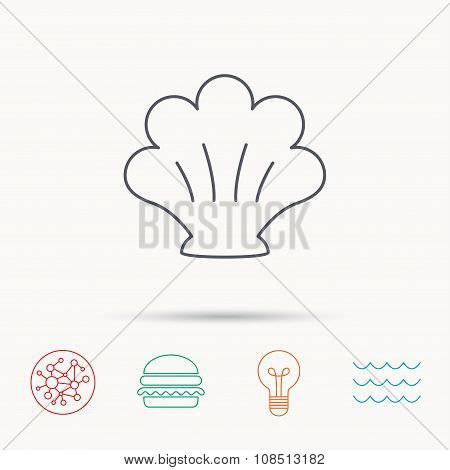 Sea shell icon. Seashell sign.