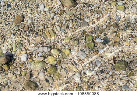 Sea Stone Bottom