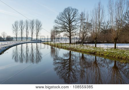 Reflected Tree Silhouettes In Wintertime