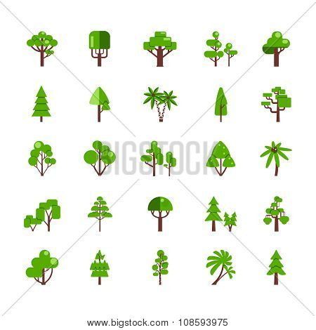 Tree Set Collection