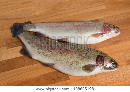 Fresh salmon of Mediterranean cooking