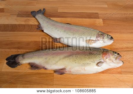 Fresh salmon of Mediterranean cooking