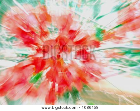 Explosion de la Bouganville