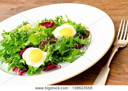 Salad Mix Batavian, Frise, Radicchio, Chicory, Dietary Mel