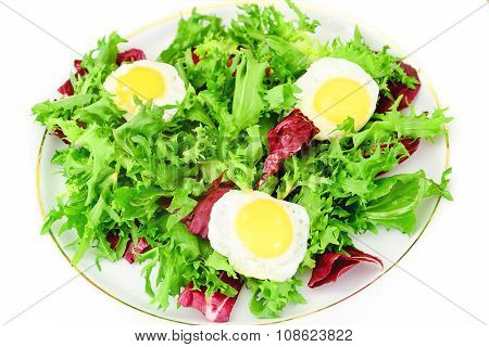 Salad Mix Batavian, Frise, Radicchio, Chicory, Dietary Mel